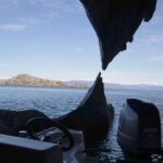 Panchito Full Marmol Panchito Full Mármol Patagonia Tour